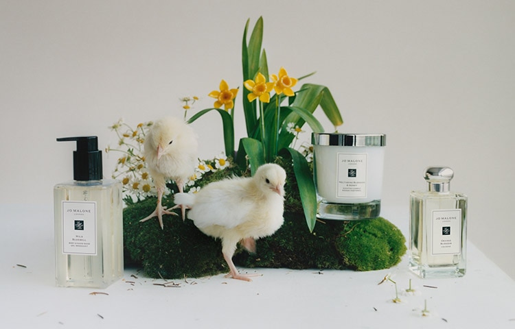 Jo Malone London products on white shelf with foliage and baby chicks